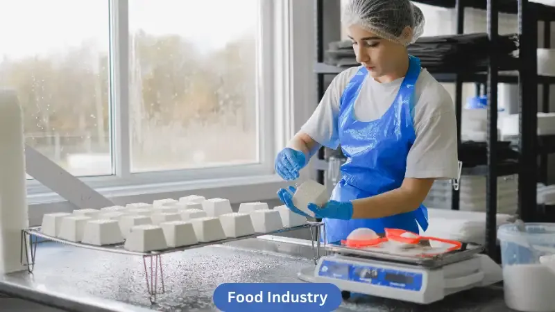 Food Industry - Food Manufacturers Worldwide