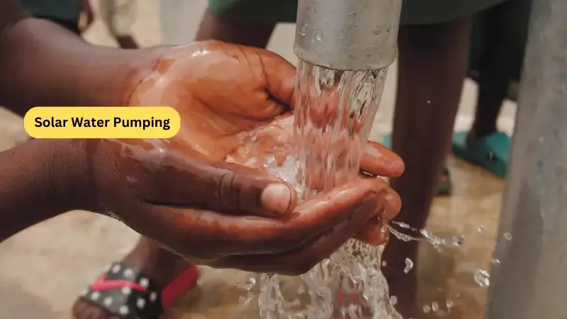 Solar Water Pumping - Solar Business Ideas