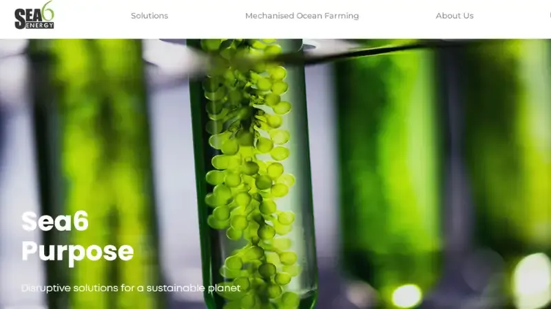 Top 10 Aquaculture Startups in India | Sea6 Energy