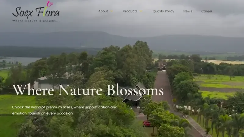 Soex Flora - One of the prominent players in India's fresh-cut flowers