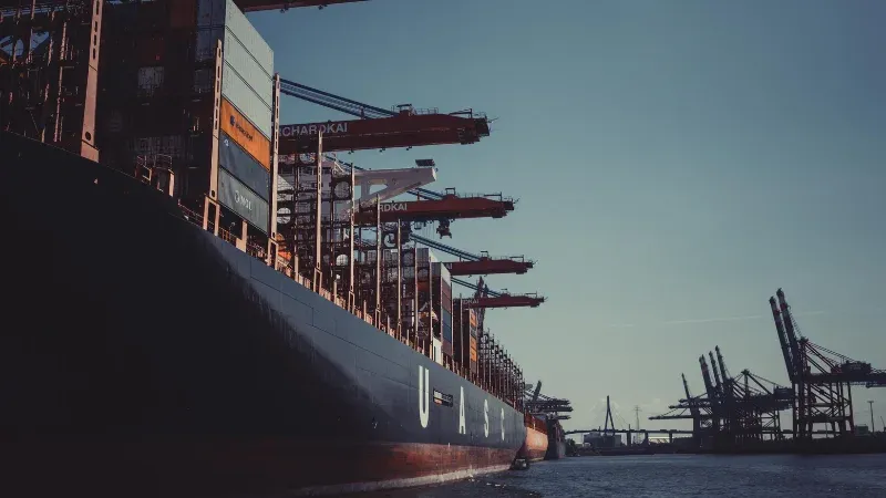Import Export Service - Future Business in India for 2025