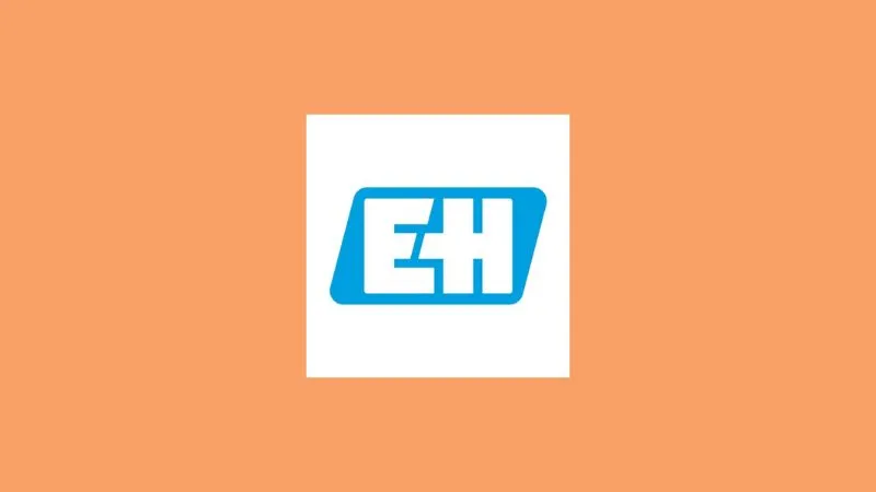 LinkedIn Top Companies in India 2024 - Endress+Hauser Group