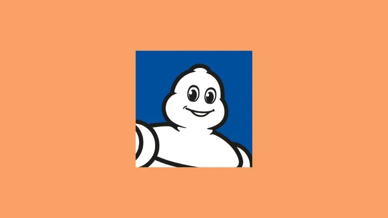 LinkedIn Top Companies in India 2024 - Michelin