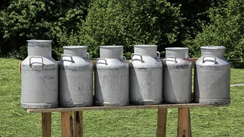 Dairy Farming - Small Scale Business Ideas in Patna