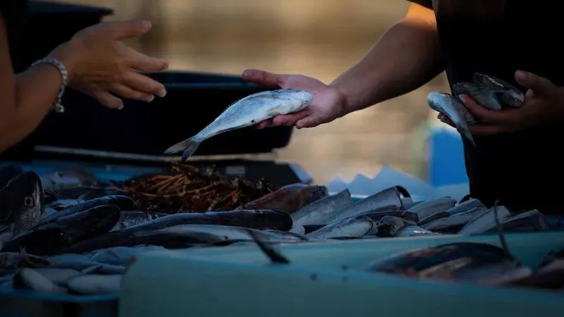 Fish Retail Business - Small Scale Business Ideas in Patna