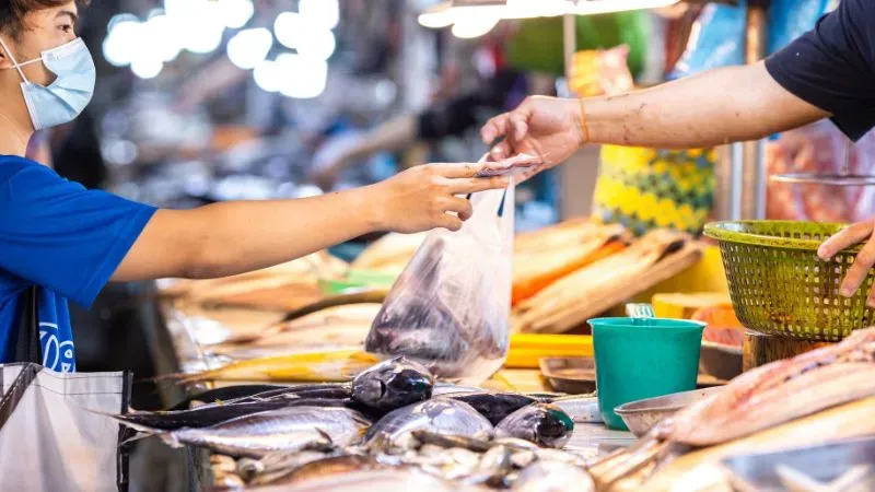 Fish Supply Business Ideas in Chennai