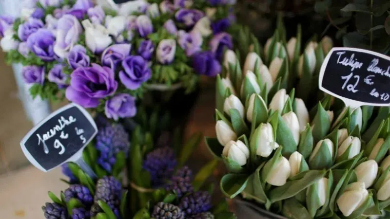 Flower Shop  Business Idea in Chandigarh