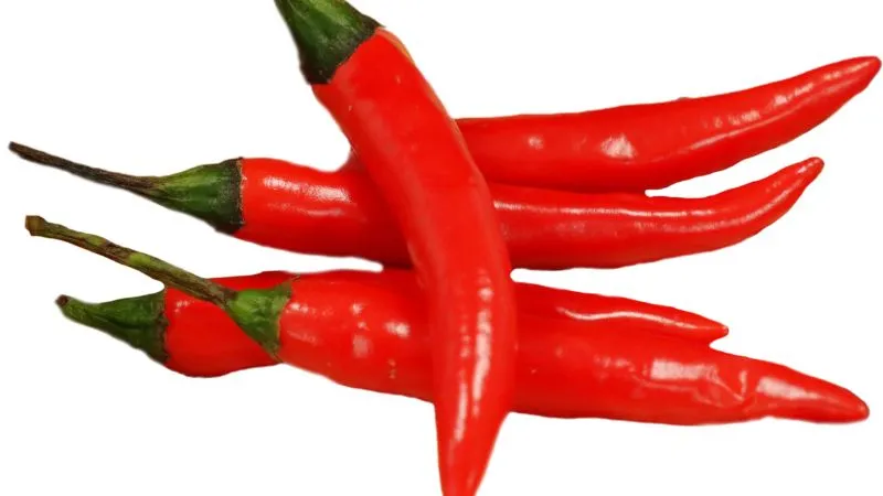 Ghost Pepper Production in Assam