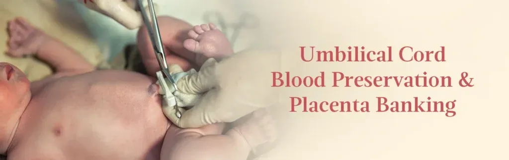 Umbilical Cord Blood Vs Placenta Banking