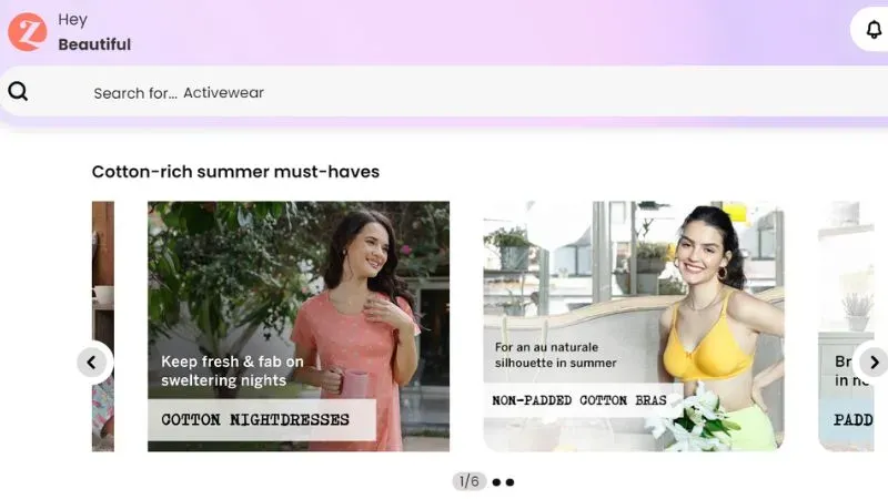 Zivame Indian fashion market