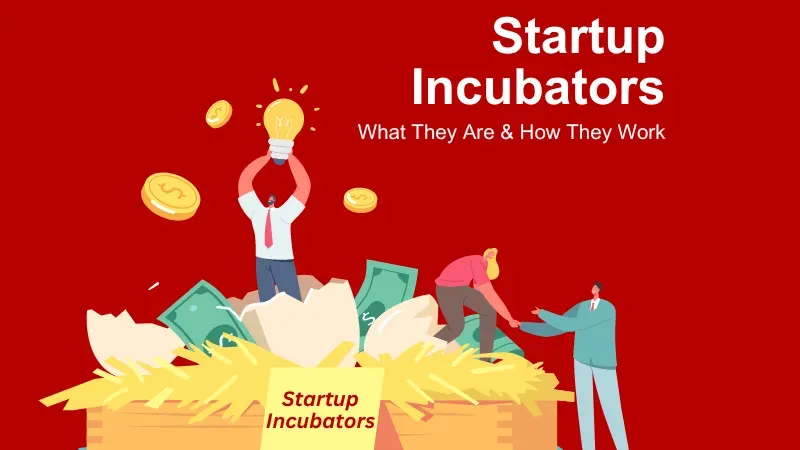 What is a startup incubator and how does it work