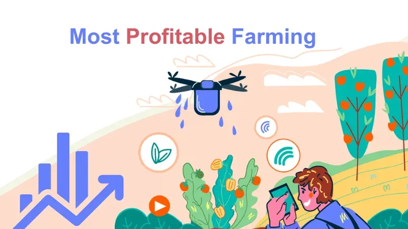 Most Profitable Agriculture Business In India