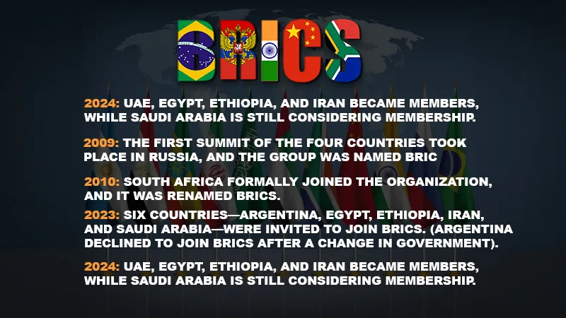 BRICS Summit Organisation