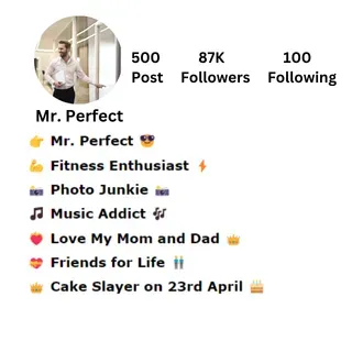 Mr. Perfect - Instagram Bio for Boys