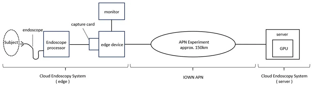 Configuration of the Cloud Endoscopy System and APN Experiment