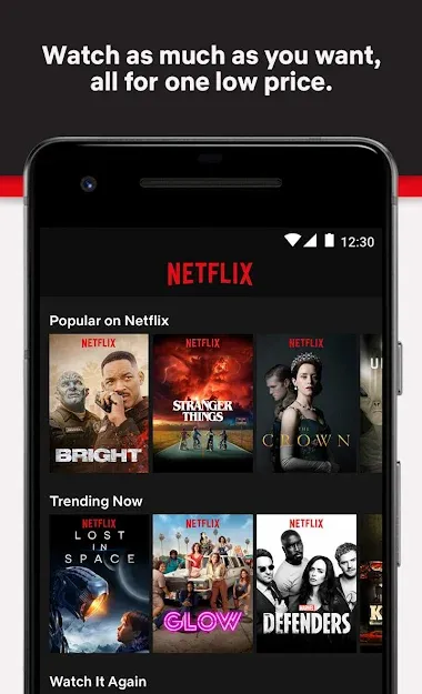 Netflix is the most popular app among all the video streaming apps