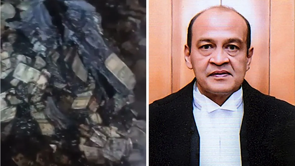  SC Shares Footage of Burnt Cash, HC CJ Demands Thorough Probe Amid Allegations of Conspiracy Photograph: (PTI) 
