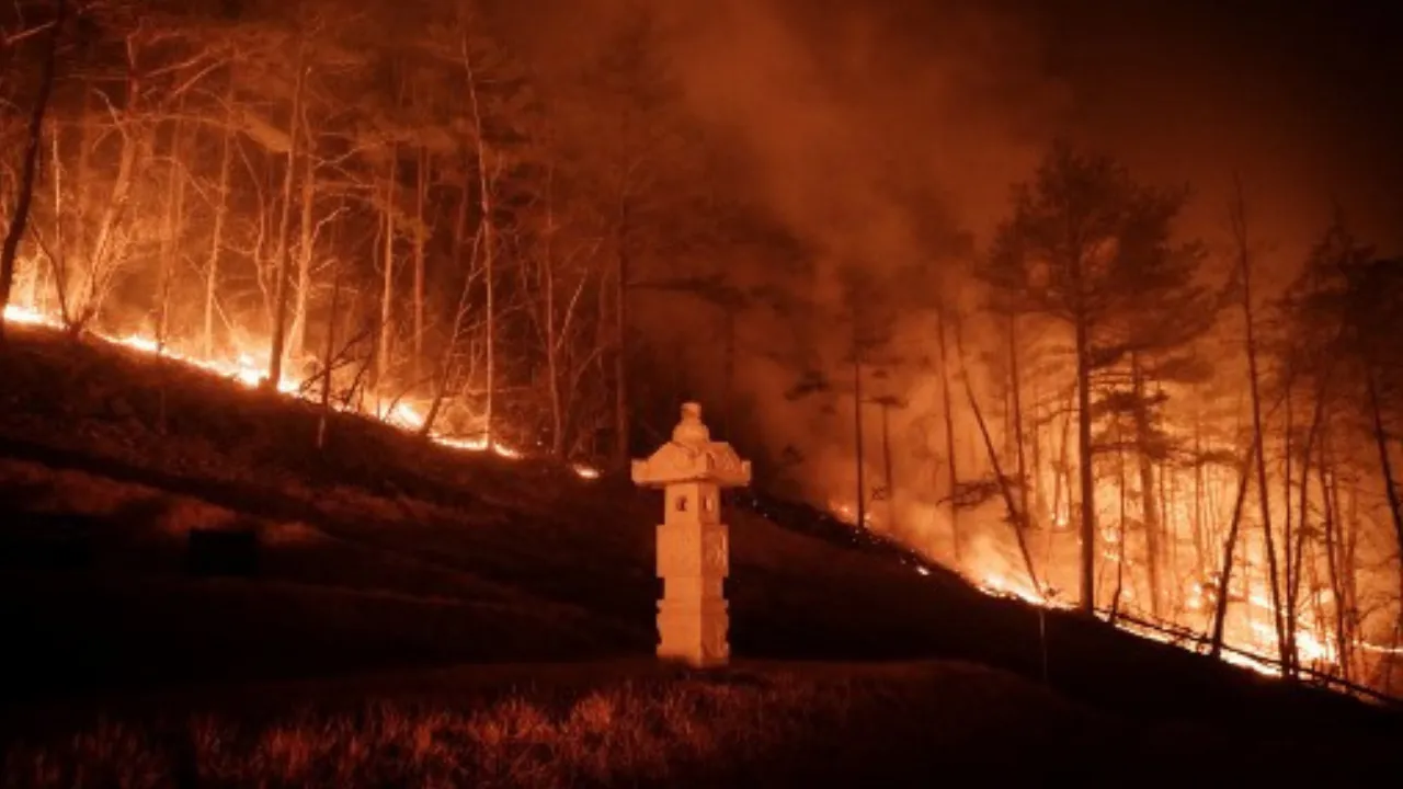  A wildfire is seen next to a stone lantern of family tomb in Andong on March 26, 2025.  Photograph: (AFP) 