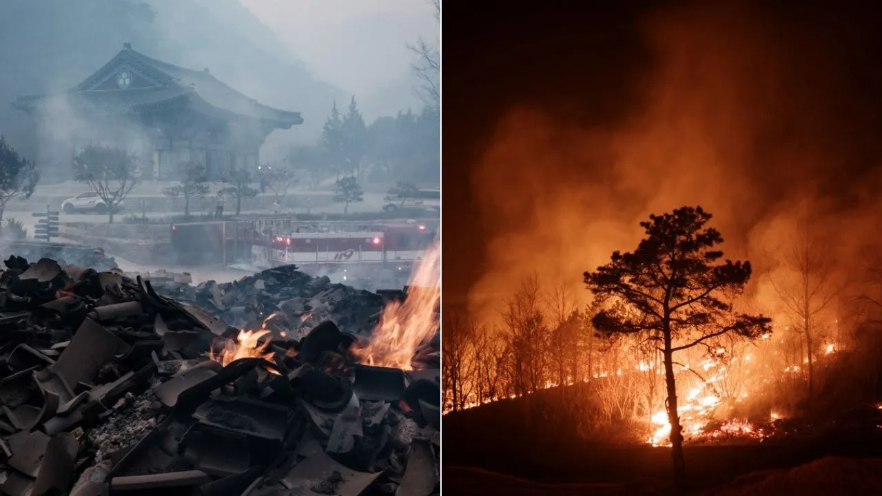  Around 27,000 people have been forced to urgently evacuate as more than a dozen fires broke out over the weekend. Photograph: (AFP) 