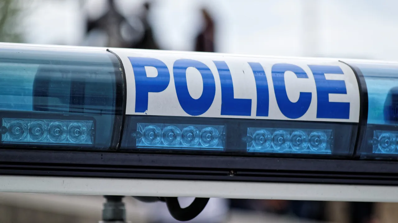  Indian national stabbed to death in Canada, suspect held: IndiIndian embassy Photograph Photograph: (Canva) 