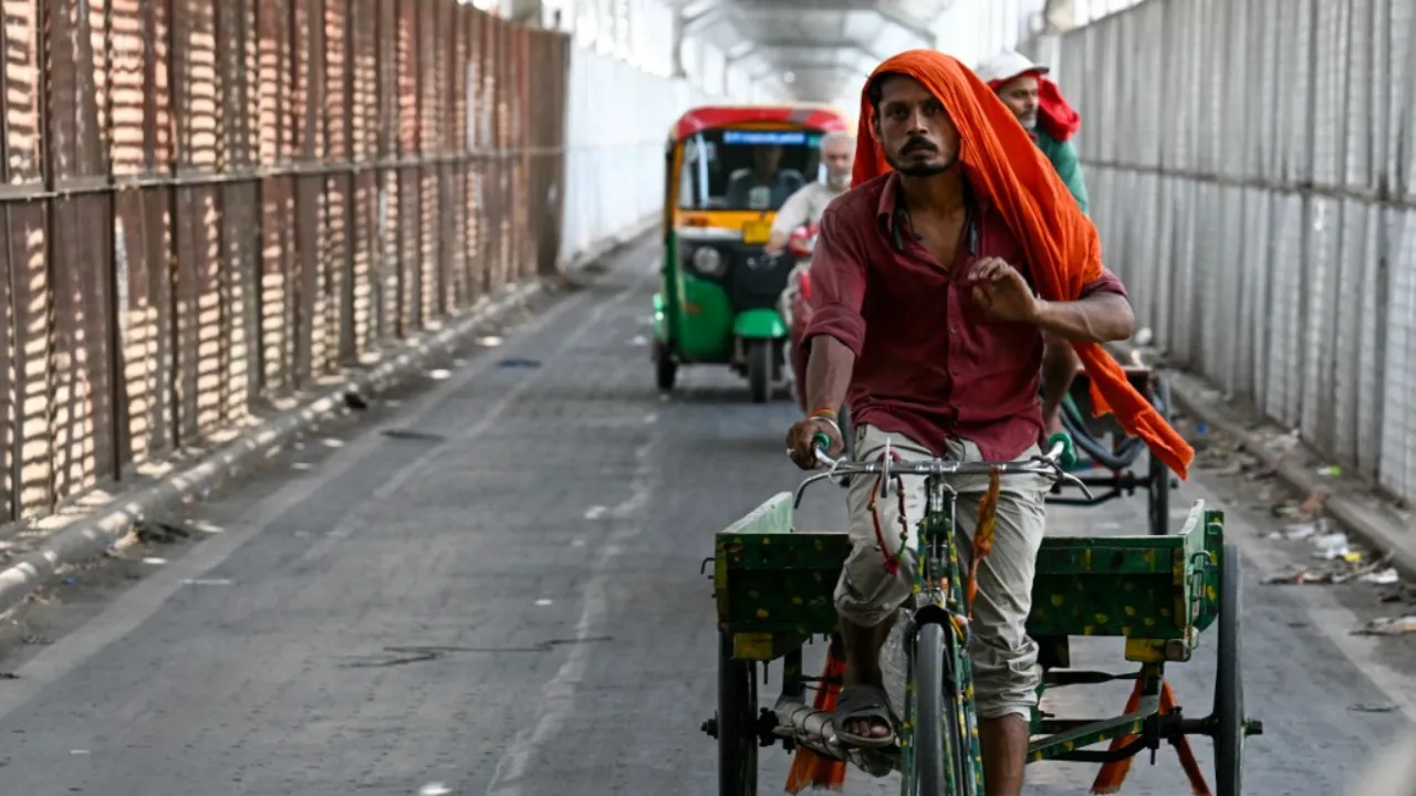  File Photo: A man wearing a scarf rides his cart on a hot summer day in New Delhi on June 18, 2024, amid heatwave. Photograph: (AFP) 
