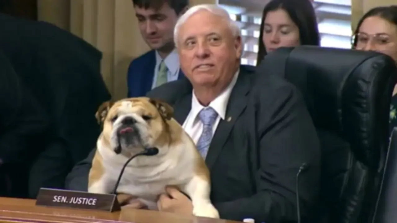 Senator