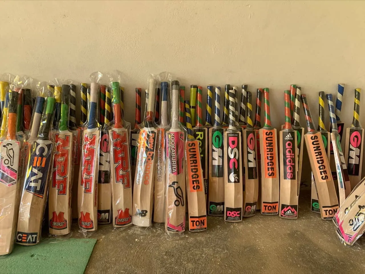 Kashmir willow bats to get GI tagging