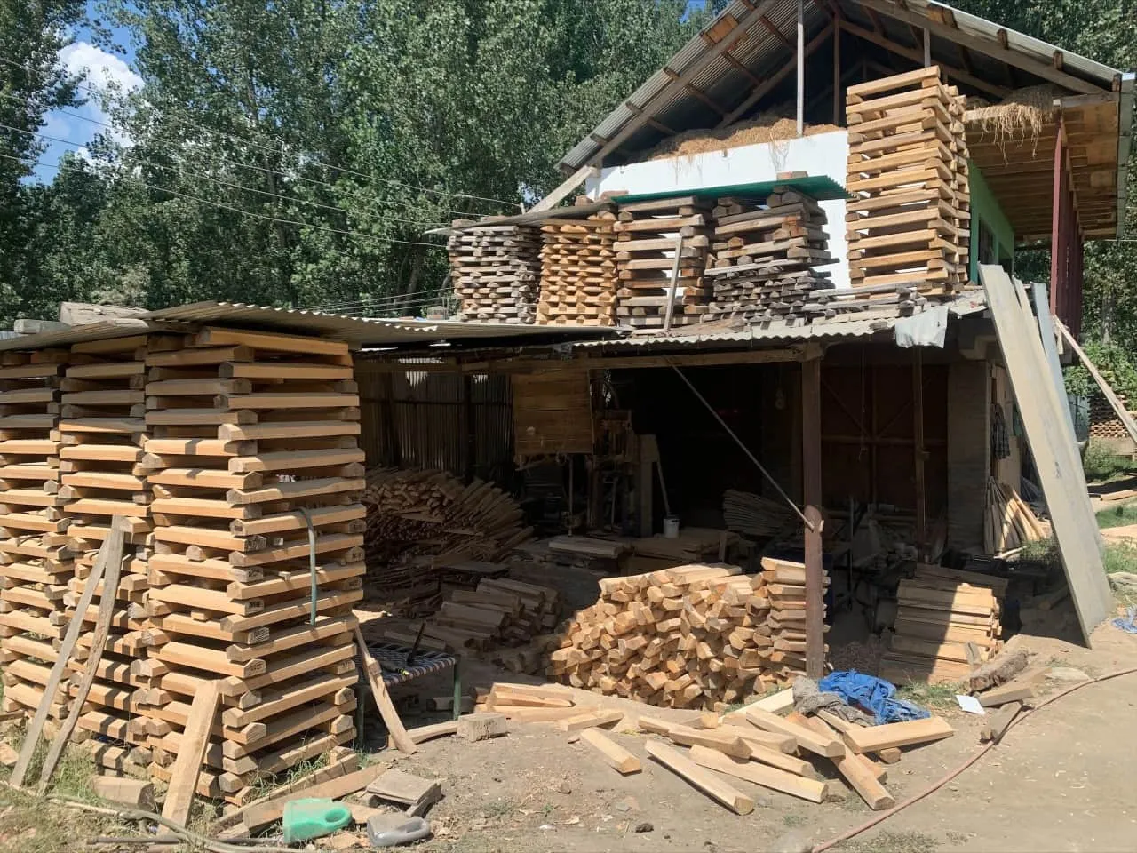 Kashmir willow bats to get GI tagging