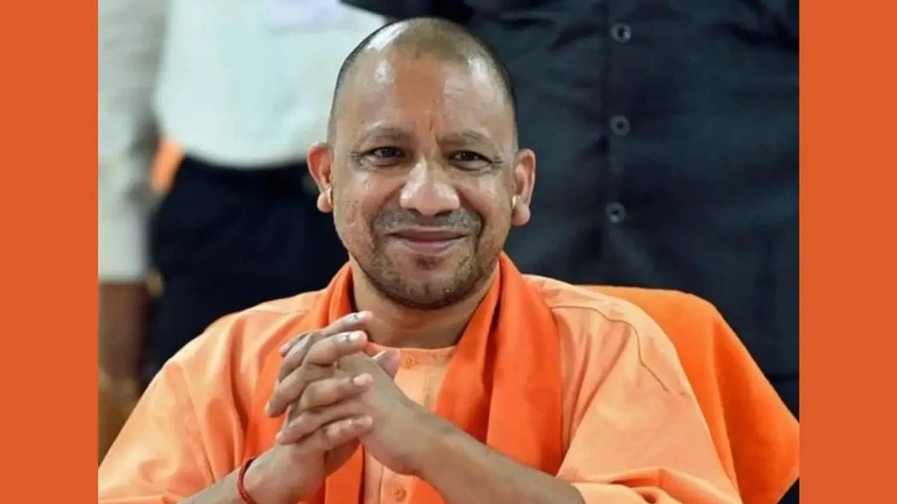 yogi