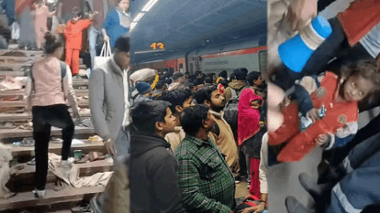 New Delhi Stampede
