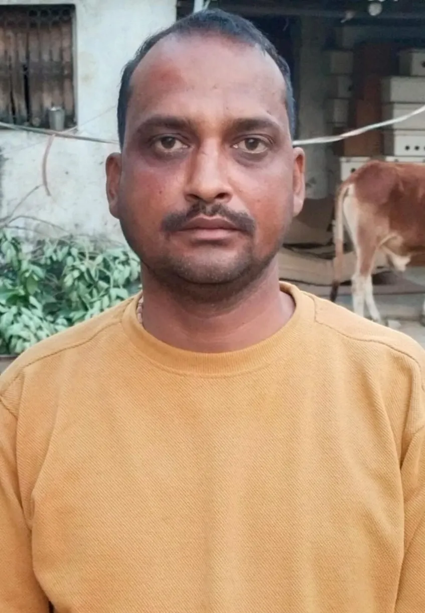 मनमानी