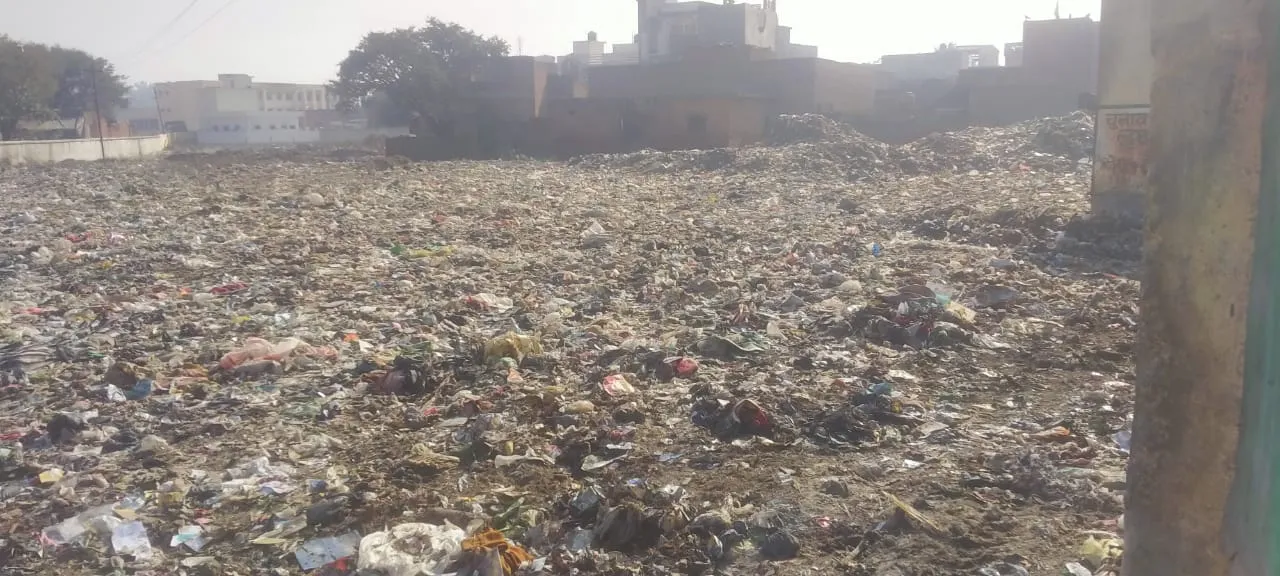 मनमानी