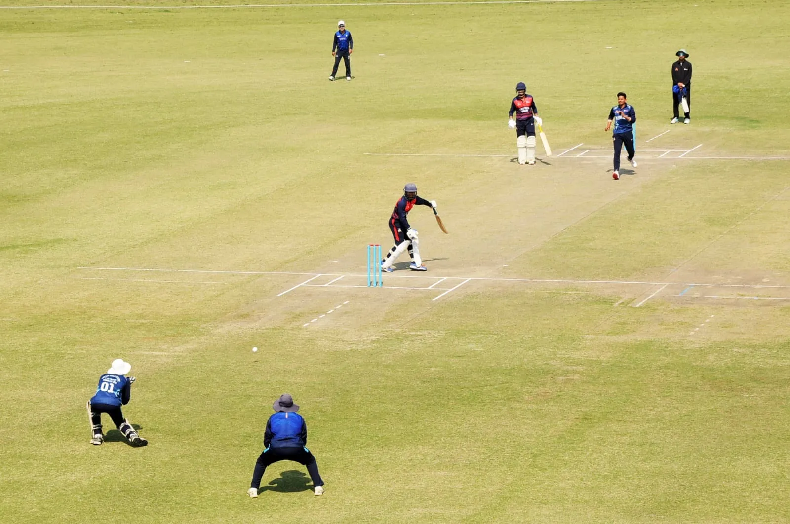 cricket