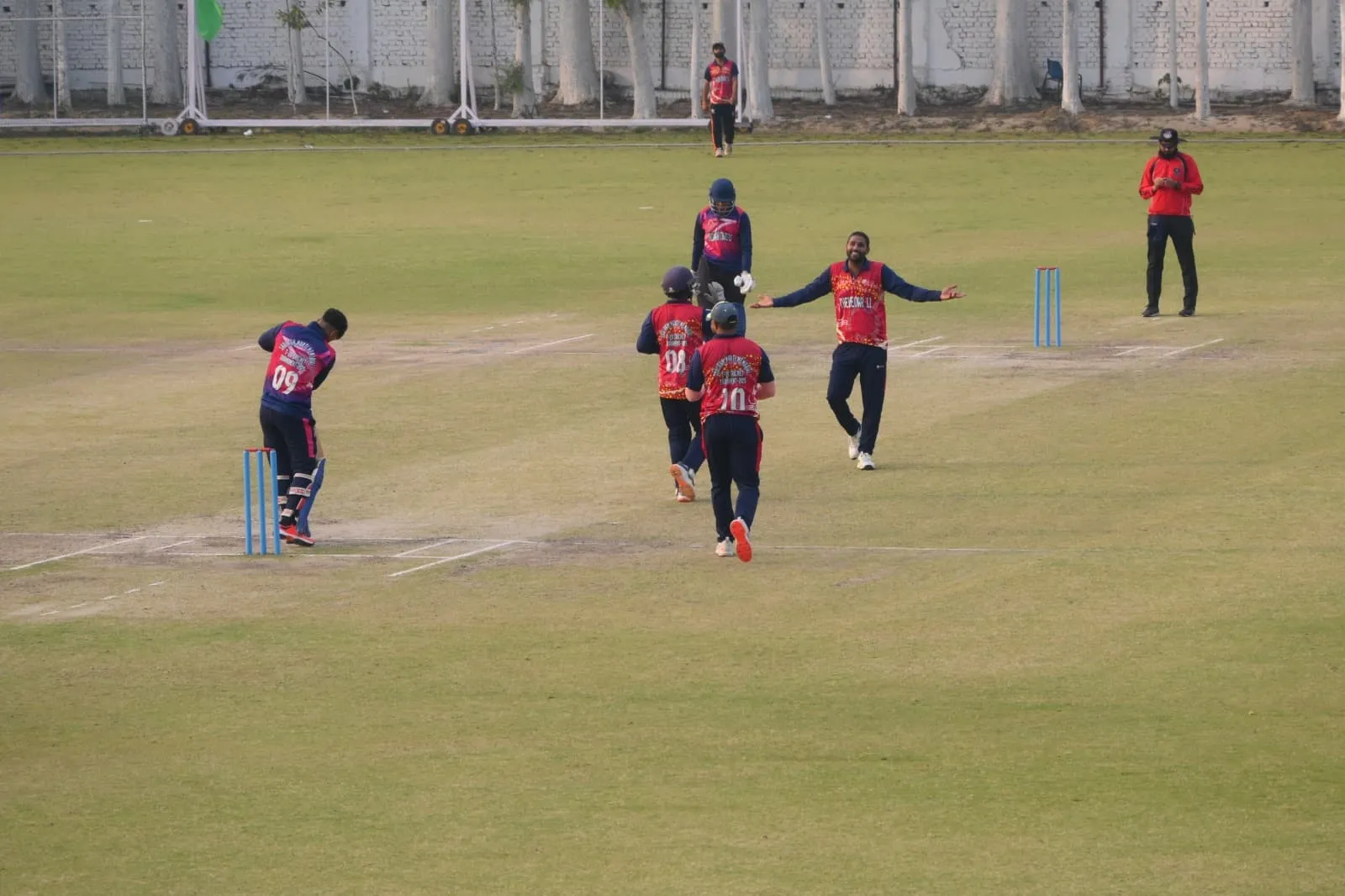 cricket