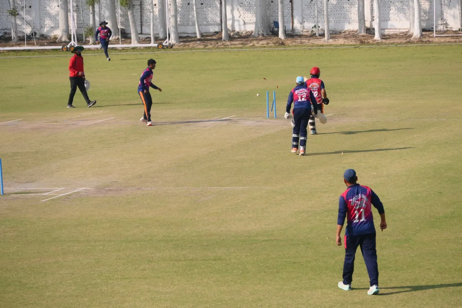 cricket