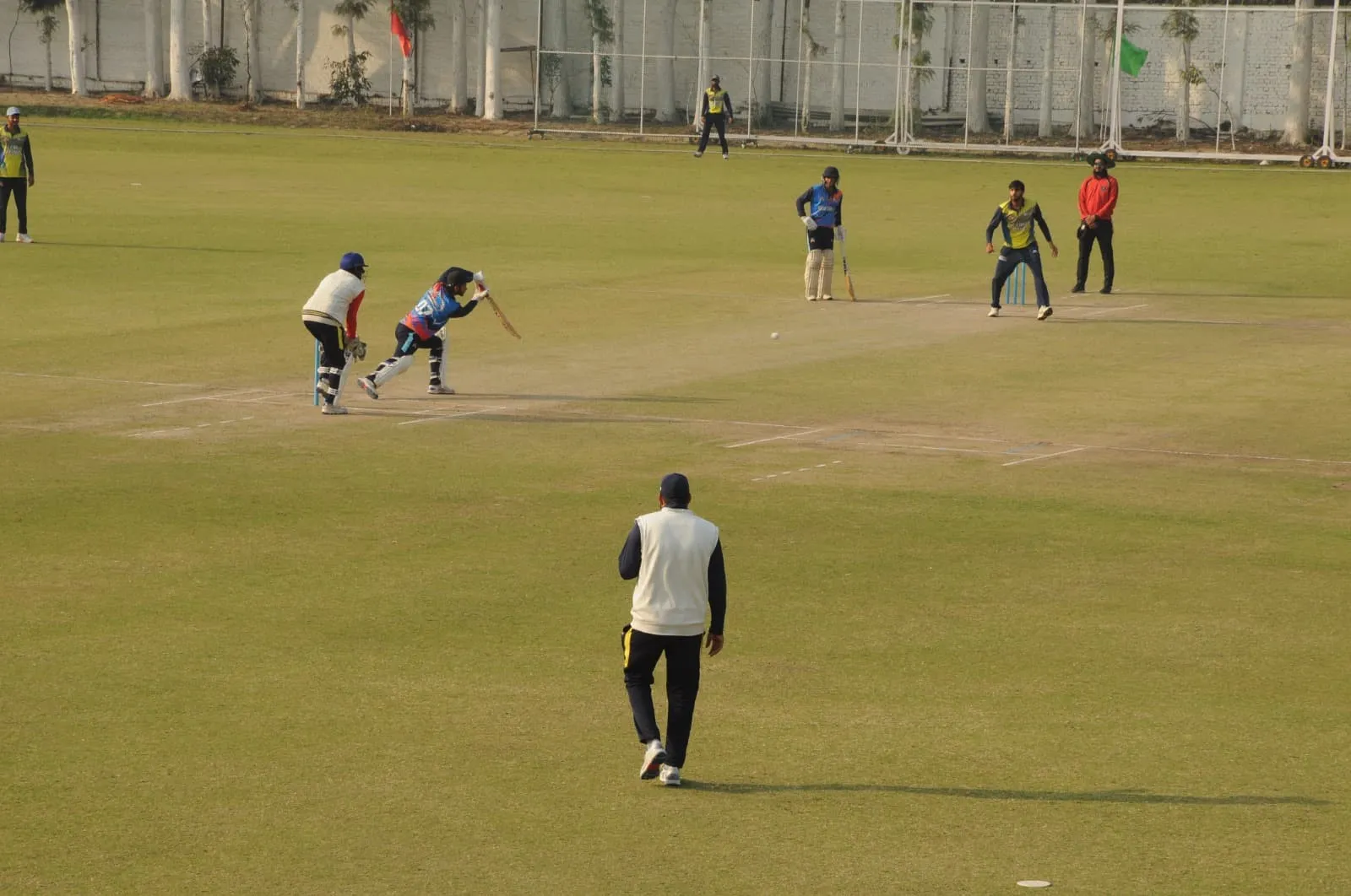cricket