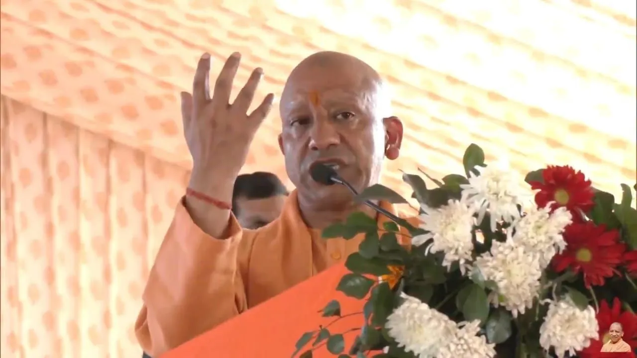 Yogi
