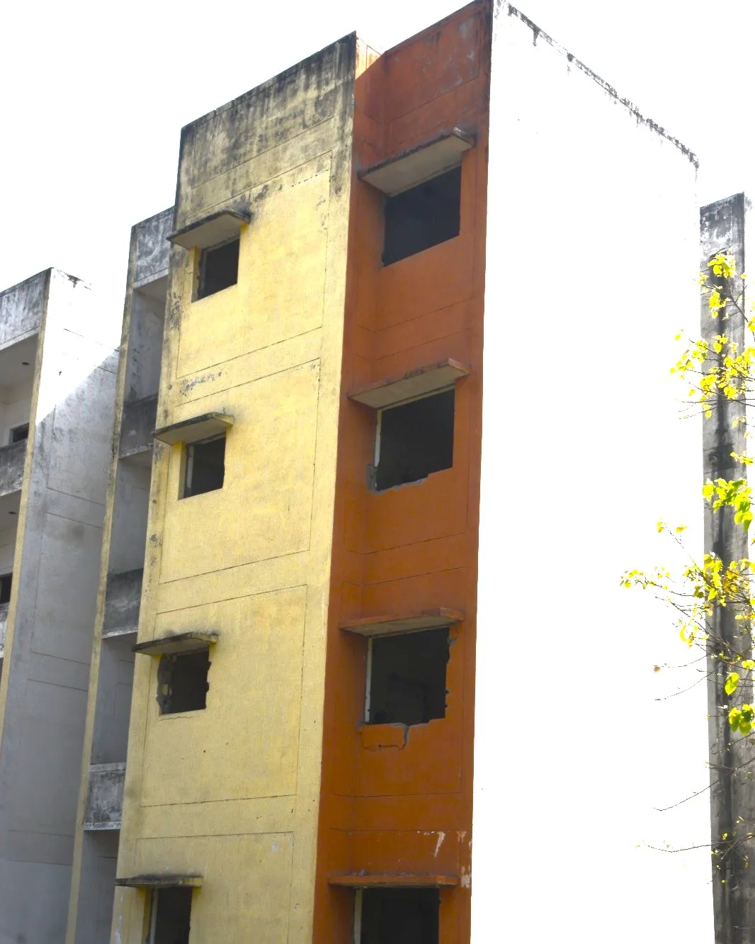 जीरा