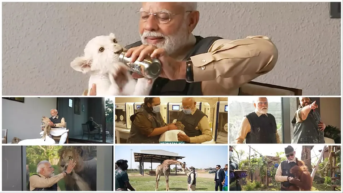 PM MODI 3