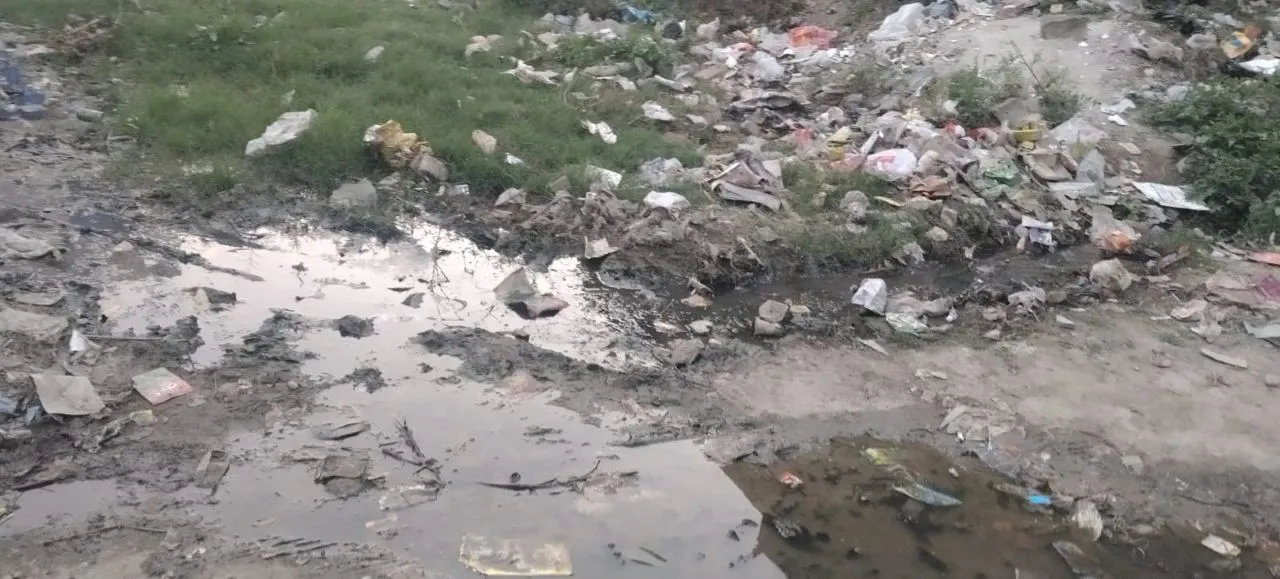 तििहि