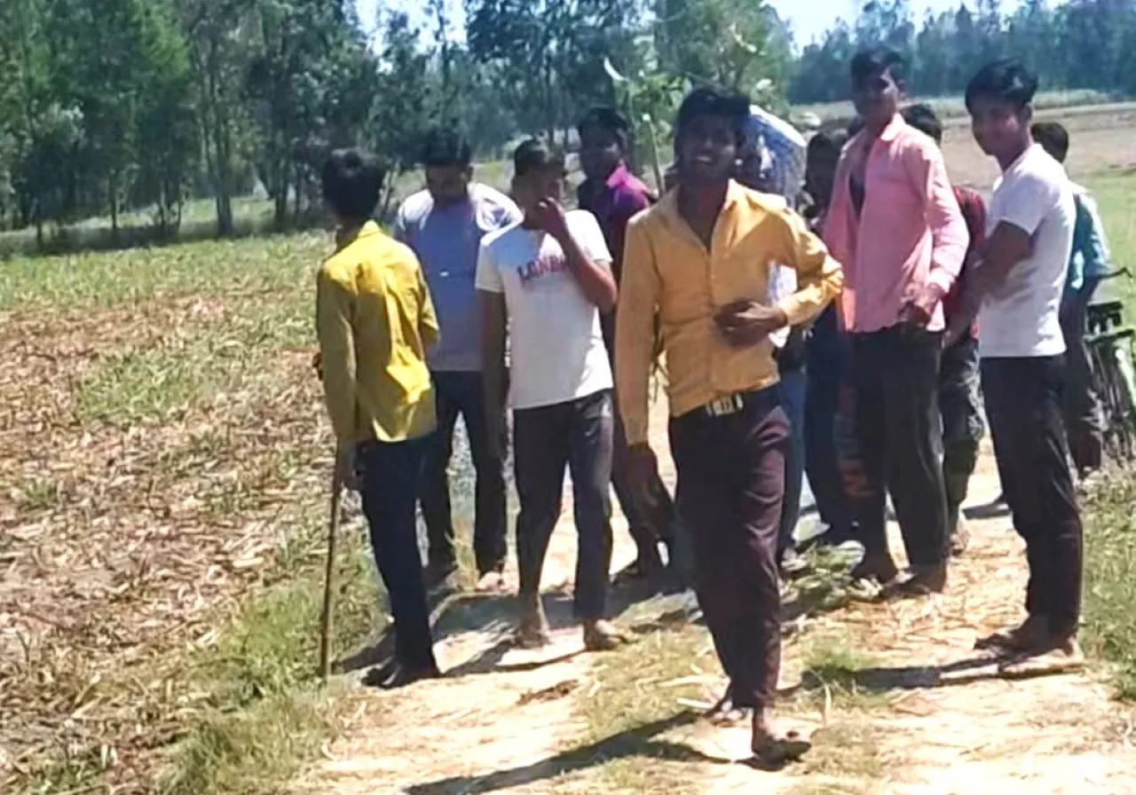 बरेली में बाघ की दहशत