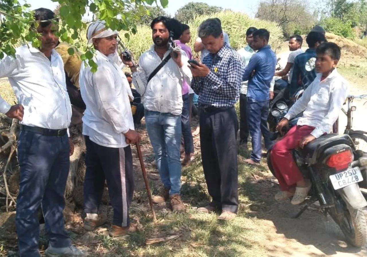 बरेली में बाघ की दहशत