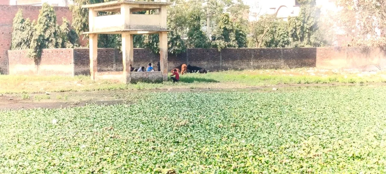 बिहारमन नगला श्मशान भूमि