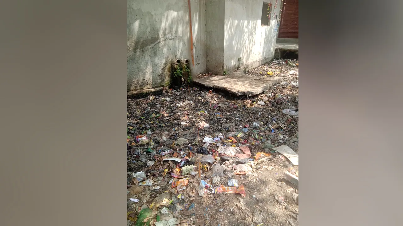 mosquito diseases young bharat