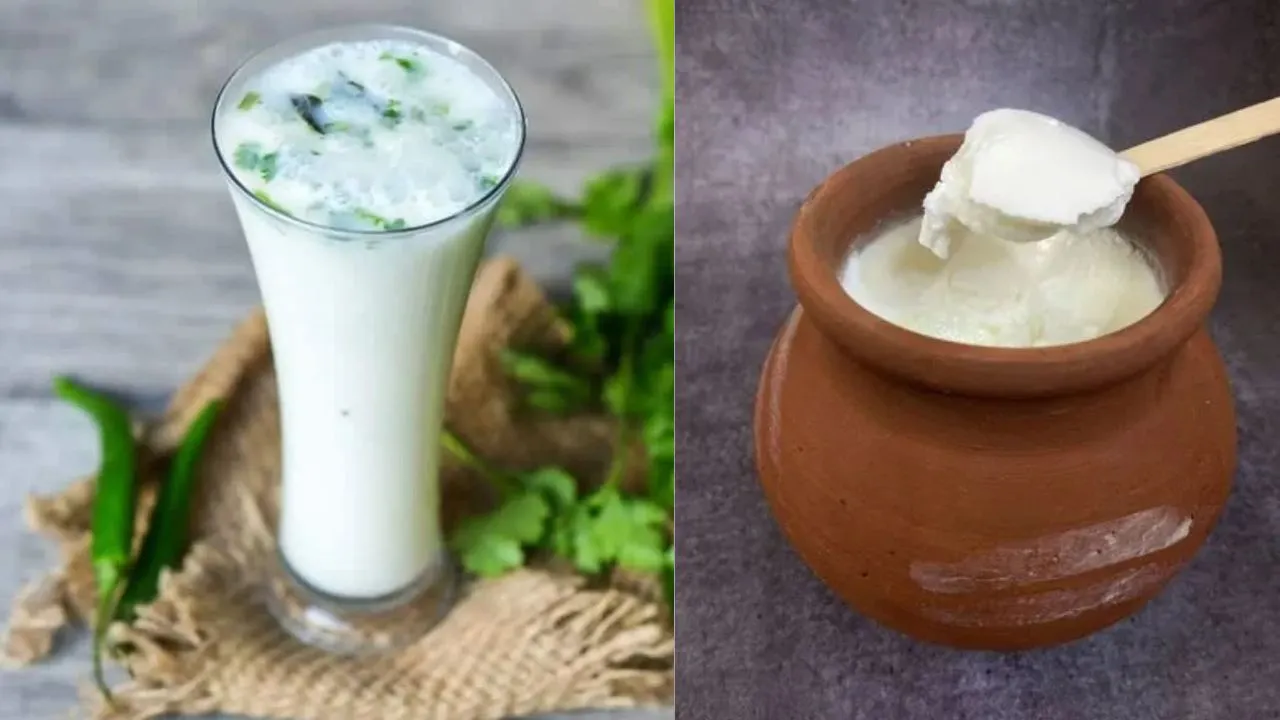 curd buttermilk