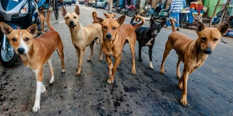 िअ