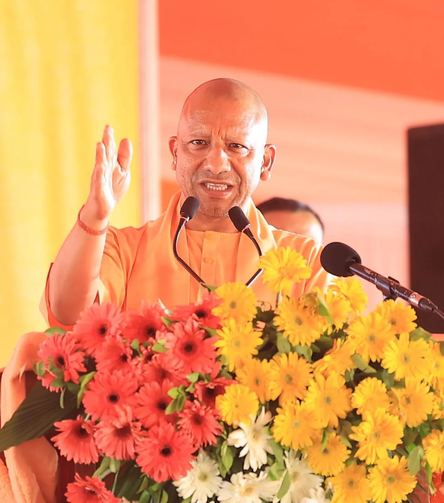 yogi..