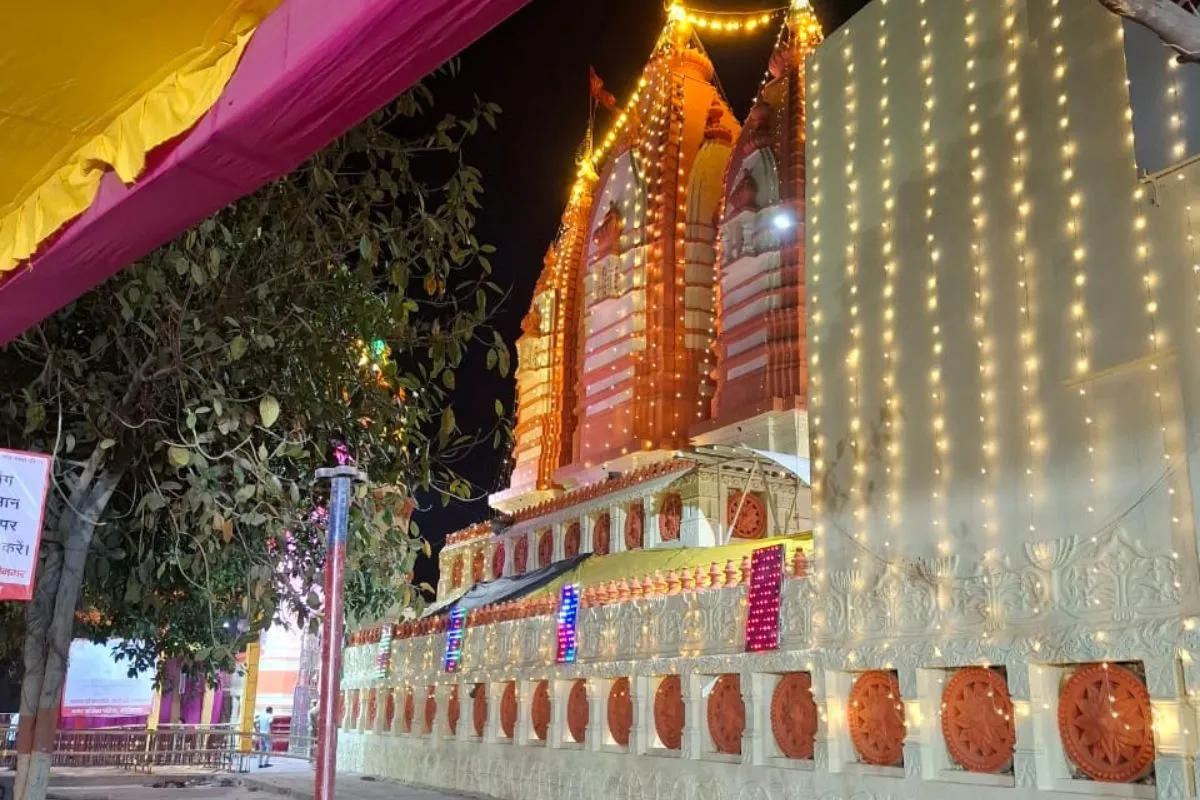 GZB DM DAURA-5