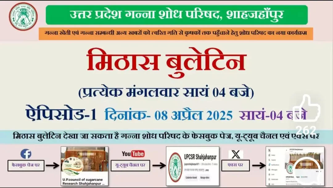 शाहजहांपुर 