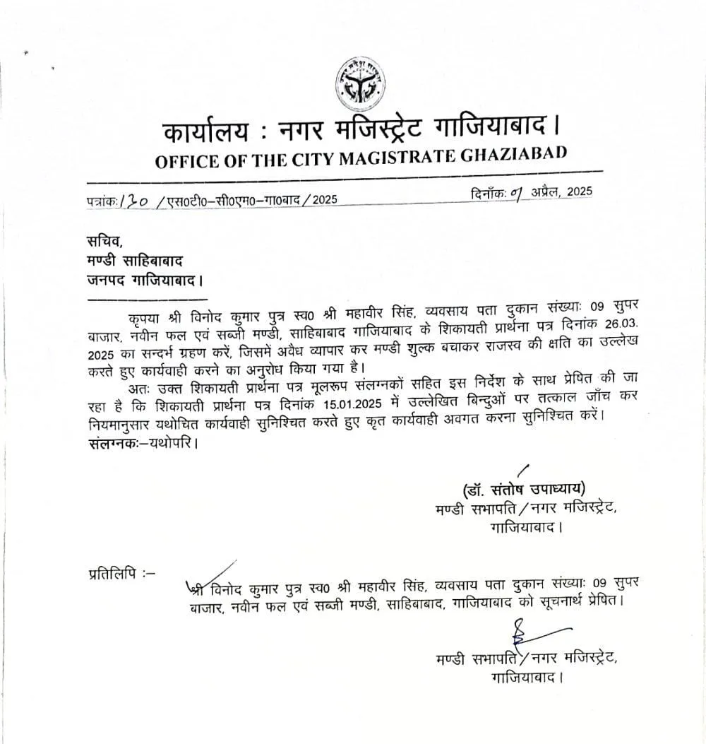 City majistrate 
